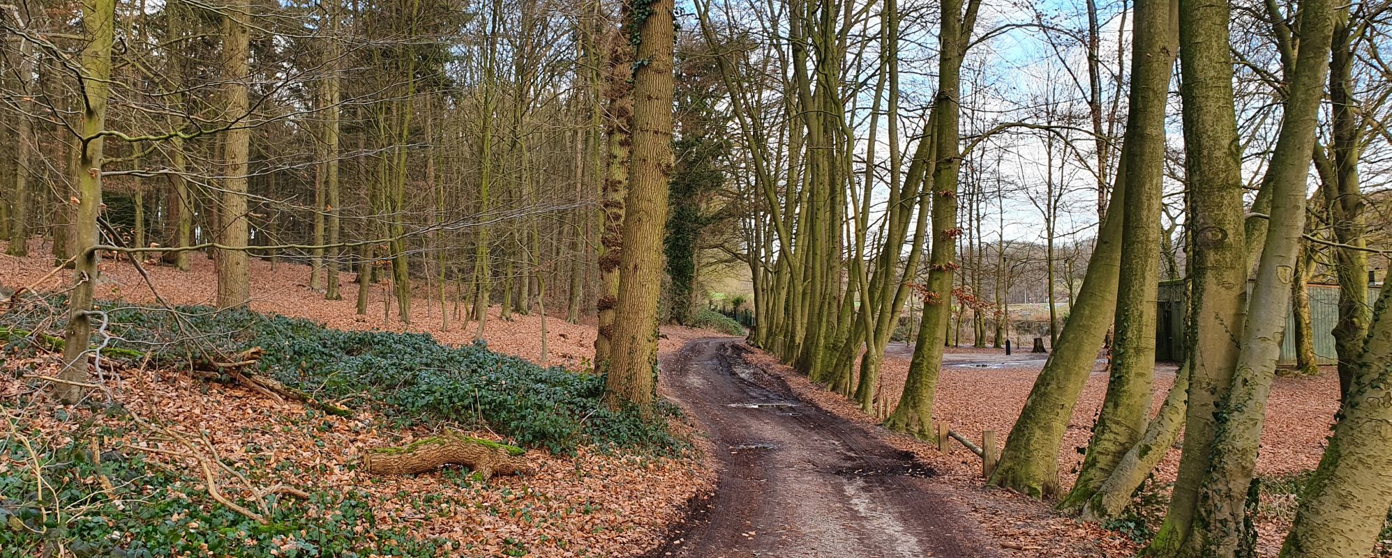 Locatie voorstelling Het Bos van Dode Liefjes