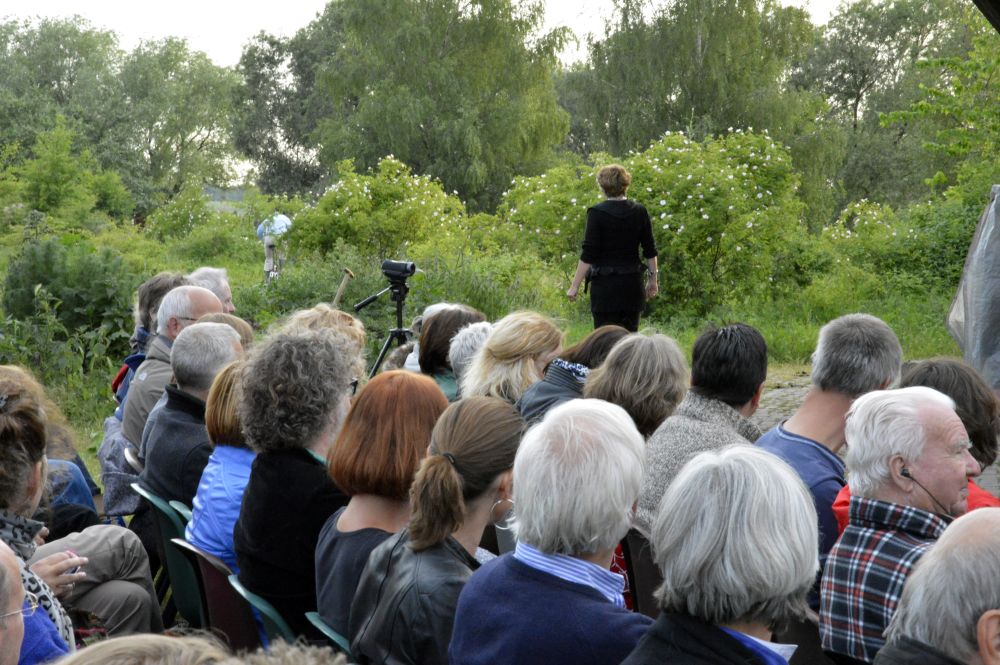 Impressie 21 voorstelling Diplodocus Deks