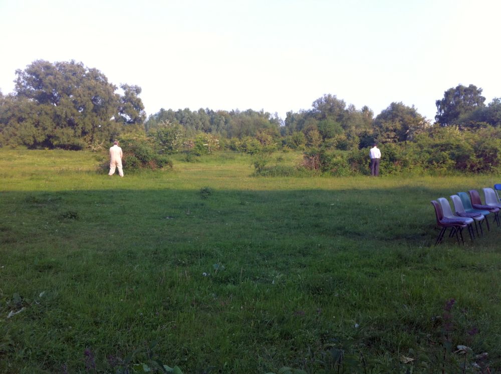 Impressie 2 van voorstelling: Diplodocus Deks