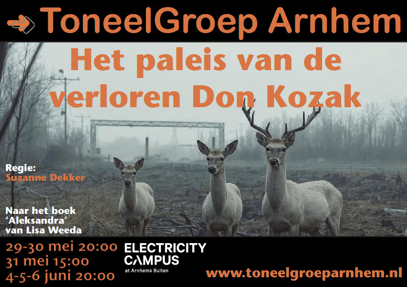 Poster voorstelling Het paleis van de verloren Don Kozak