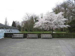 Locatie 2011 Larenstein Velp 