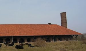 Locatie 2013 Mijnerswijk 